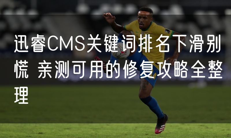 迅睿CMS关键词排名下滑别慌 亲测可用的修复攻略全整理