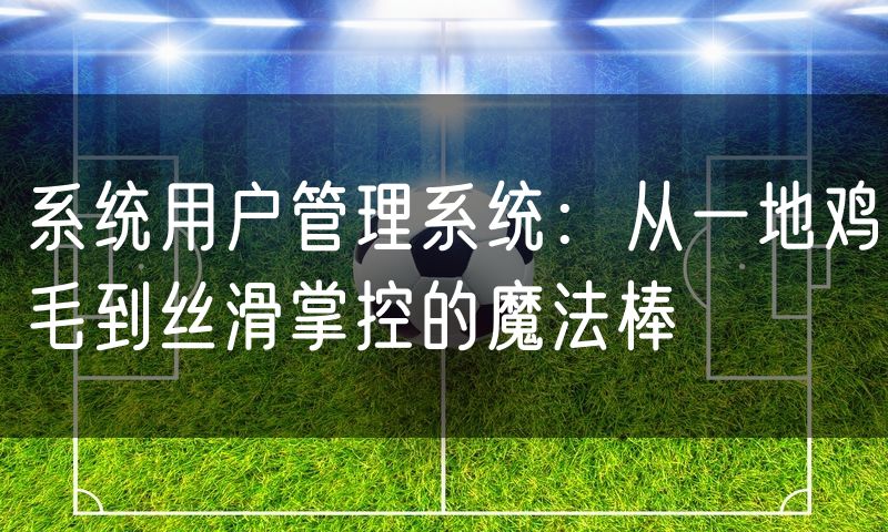 系统用户管理系统：从一地鸡毛到丝滑掌控的魔法棒