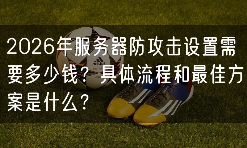 2026年服务器防攻击设置需要多少钱?具体流程和最佳方案是什么?