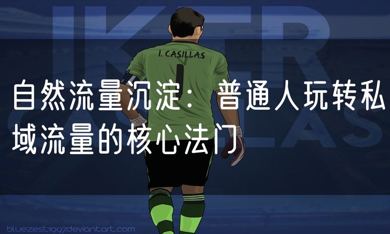 自然流量沉淀:普通人玩转私域流量的核心法门