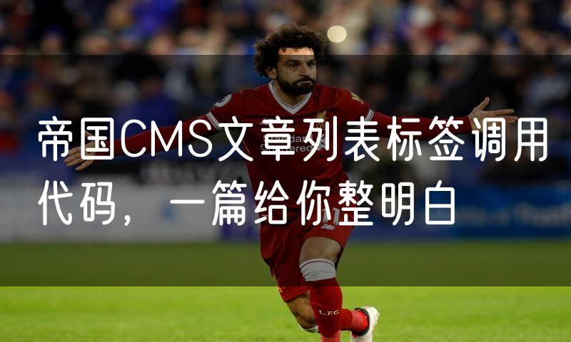 帝国CMS文章列表标签调用代码,一篇给你整明白