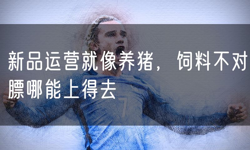 新品运营就像养猪,饲料不对膘哪能上得去