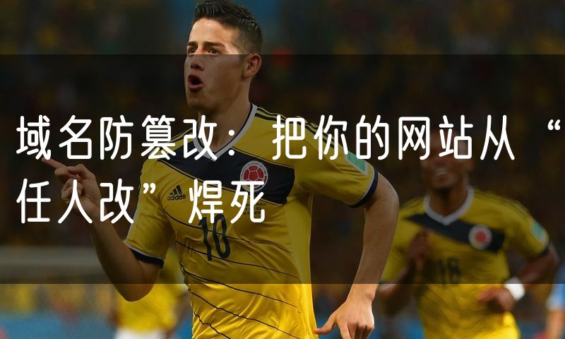 域名防篡改:把你的网站从“任人改”焊死