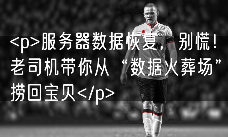 <p>服务器数据恢复，别慌！老司机带你从“数据火葬场”捞回宝贝</p>