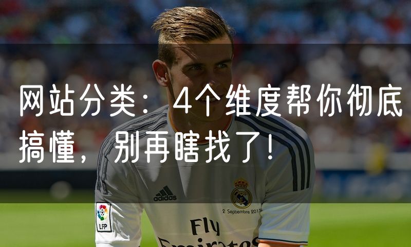 网站分类:4个维度帮你彻底搞懂,别再瞎找了!