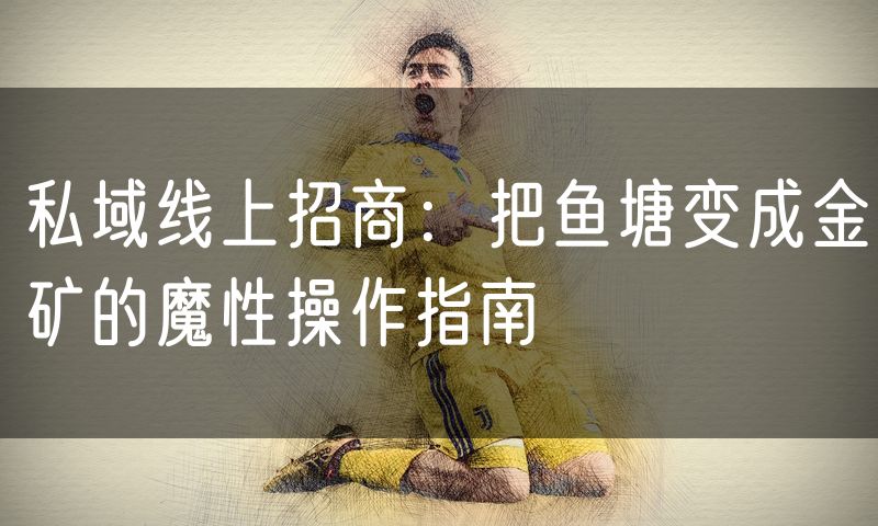 私域线上招商：把鱼塘变成金矿的魔性操作指南