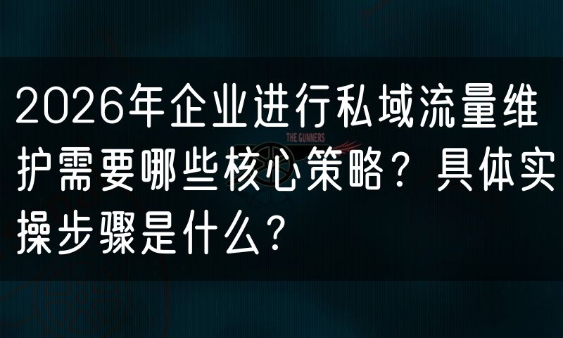 2026年企业进行私域流量维护需要哪些核心策略?具体实操步骤是什么?