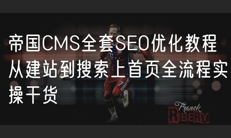 帝国CMS全套SEO优化教程 从建站到搜索上首页全流程实操干货