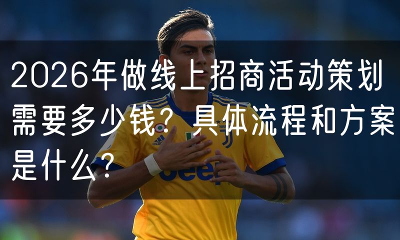2026年做线上招商活动策划需要多少钱?具体流程和方案是什么?