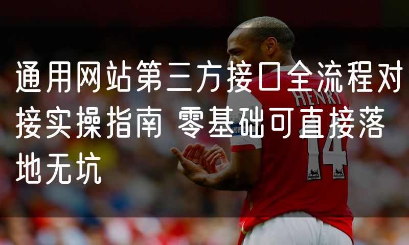 通用网站第三方接口全流程对接实操指南 零基础可直接落地无坑