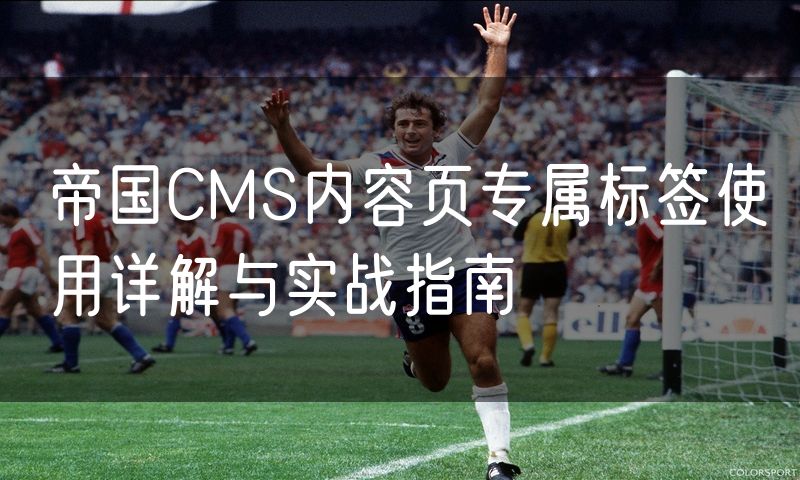 帝国CMS内容页专属标签使用详解与实战指南