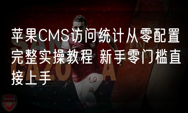 苹果CMS访问统计从零配置完整实操教程 新手零门槛直接上手