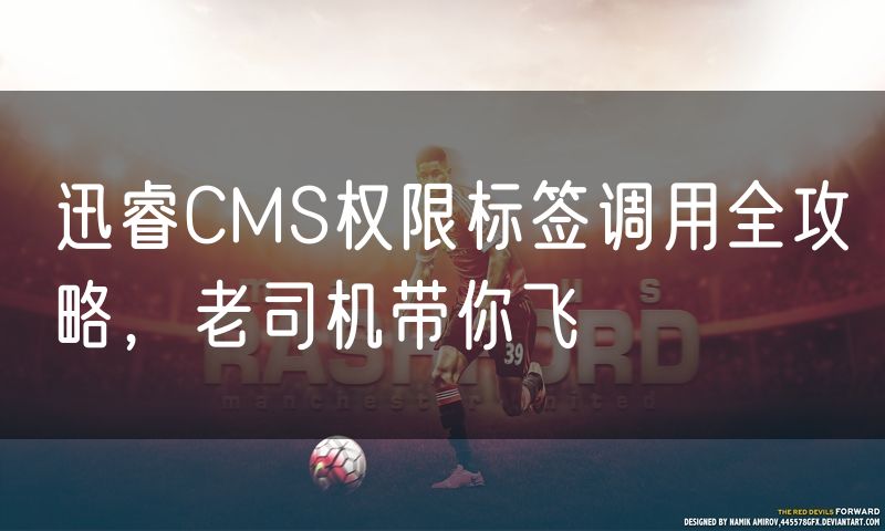 迅睿CMS权限标签调用全攻略,老司机带你飞