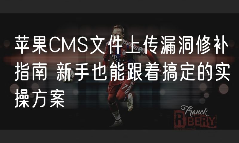 苹果CMS文件上传漏洞修补指南 新手也能跟着搞定的实操方案