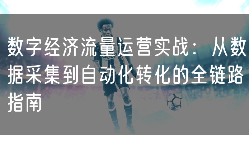 数字经济流量运营实战:从数据采集到自动化转化的全链路指南