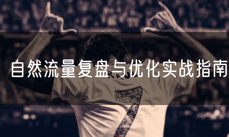 自然流量复盘与优化实战指南