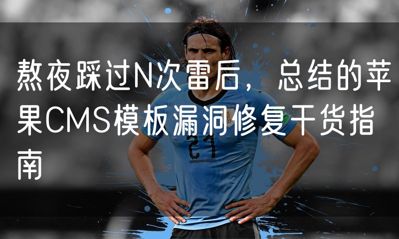 熬夜踩过N次雷后，总结的苹果CMS模板漏洞修复干货指南