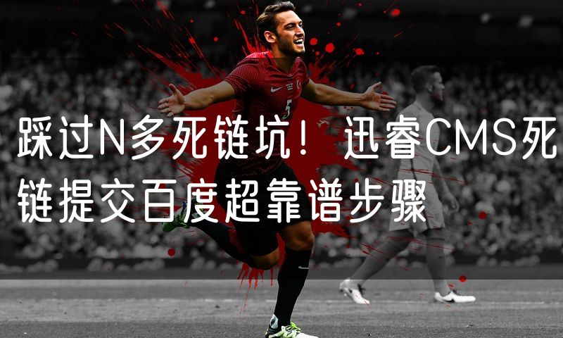 踩过N多死链坑!迅睿CMS死链提交百度超靠谱步骤