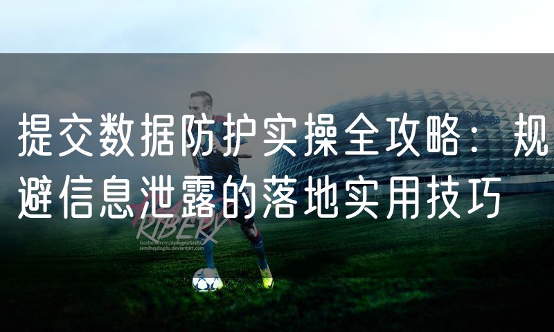 提交数据防护实操全攻略:规避信息泄露的落地实用技巧