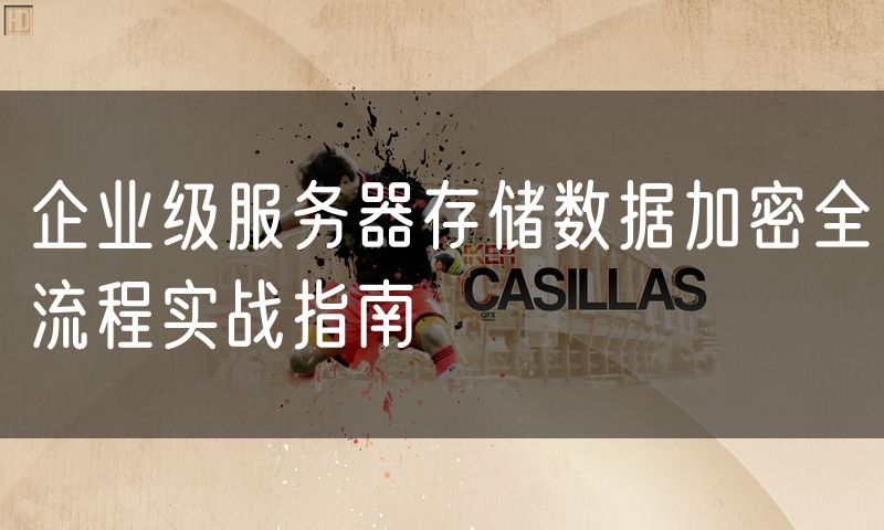 企业级服务器存储数据加密全流程实战指南