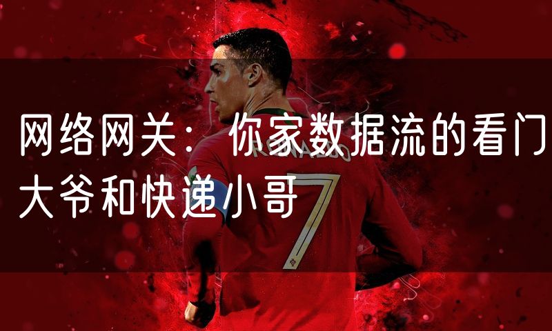网络网关:你家数据流的看门大爷和快递小哥