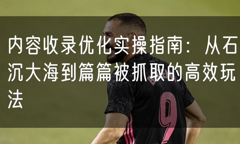内容收录优化实操指南：从石沉大海到篇篇被抓取的高效玩法