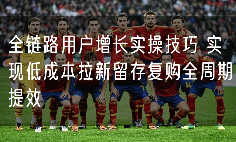 全链路用户增长实操技巧 实现低成本拉新留存复购全周期提效
