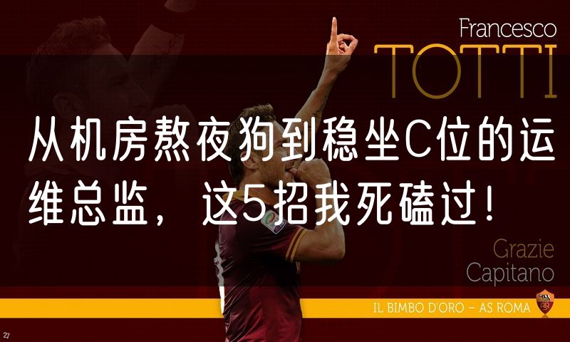 从机房熬夜狗到稳坐C位的运维总监,这5招我死磕过!