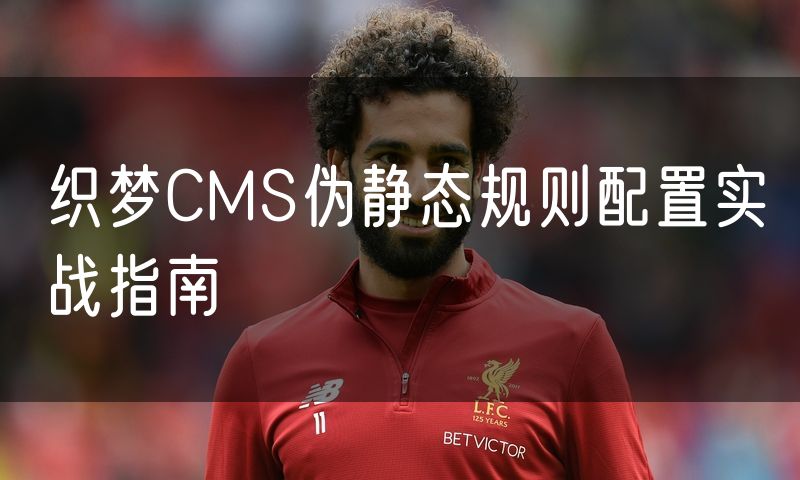 织梦CMS伪静态规则配置实战指南