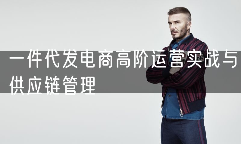 一件代发电商高阶运营实战与供应链管理