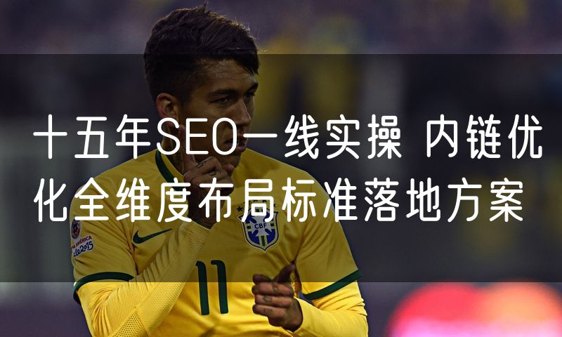 十五年SEO一线实操 内链优化全维度布局标准落地方案