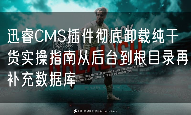 迅睿CMS插件彻底卸载纯干货实操指南从后台到根目录再补充数据库