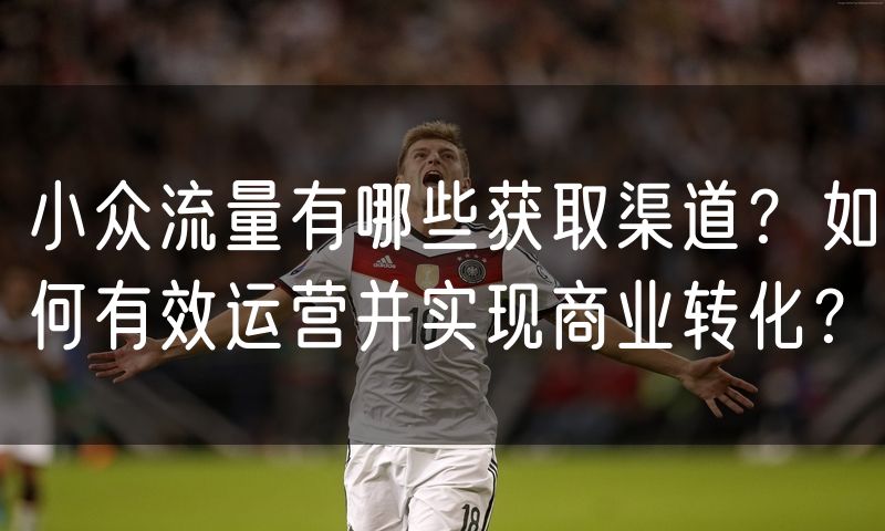 小众流量有哪些获取渠道？如何有效运营并实现商业转化？