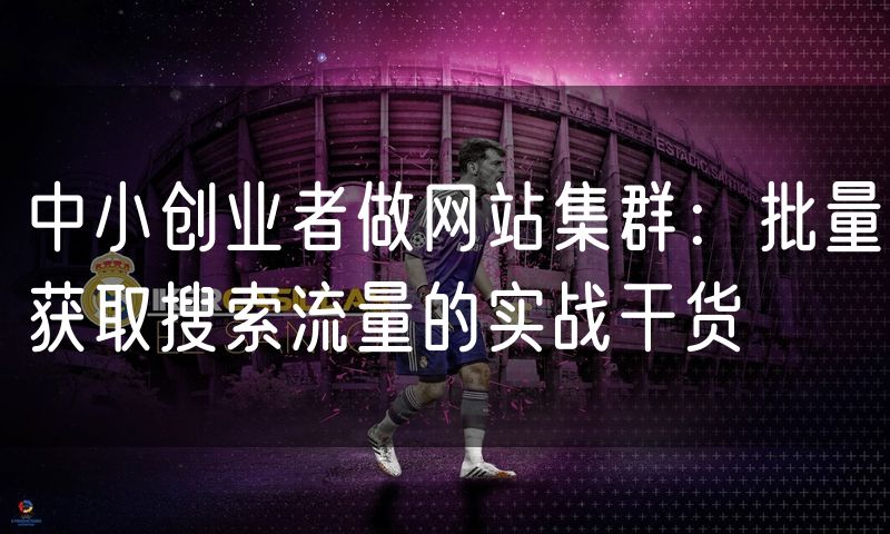 中小创业者做网站集群：批量获取搜索流量的实战干货
