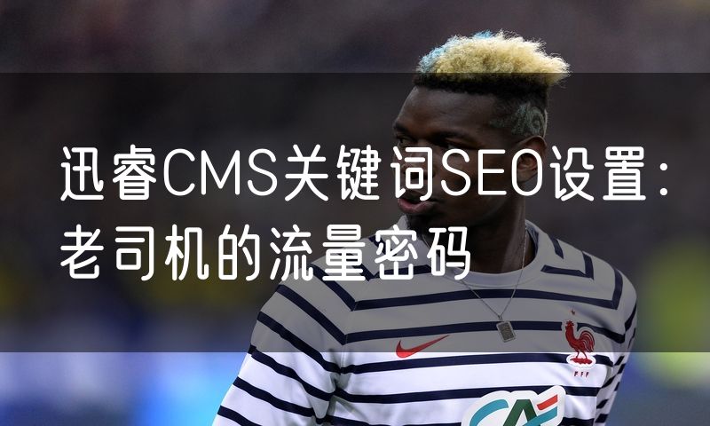 迅睿CMS关键词SEO设置:老司机的流量密码