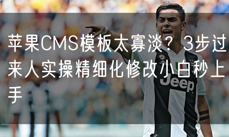 苹果CMS模板太寡淡？3步过来人实操精细化修改小白秒上手