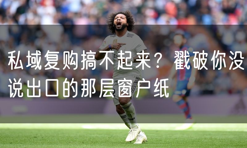 私域复购搞不起来?戳破你没说出口的那层窗户纸