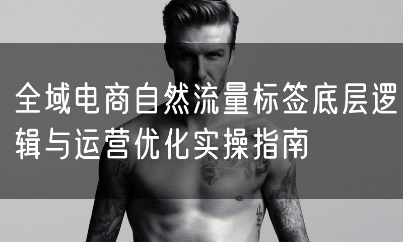全域电商自然流量标签底层逻辑与运营优化实操指南
