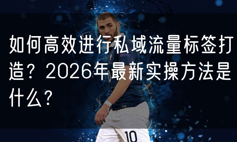 如何高效进行私域流量标签打造？2026年最新实操方法是什么？