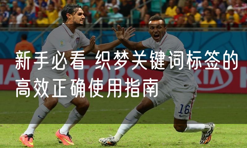 新手必看 织梦关键词标签的高效正确使用指南