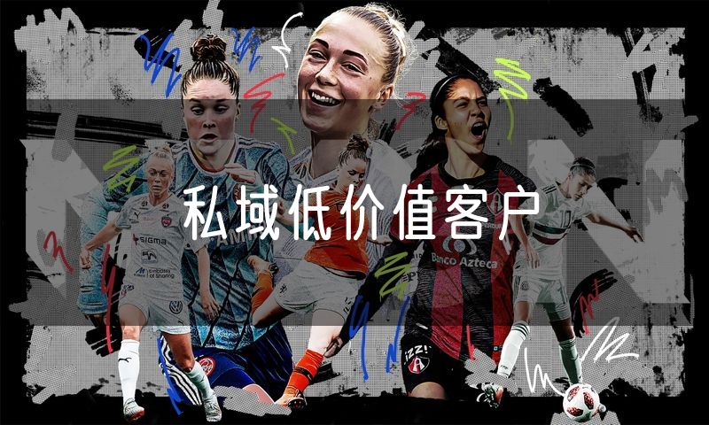 私域低价值客户