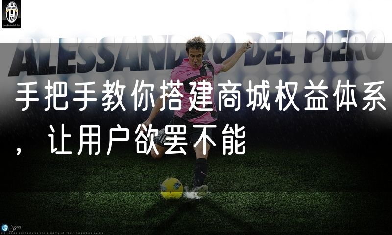 手把手教你搭建商城权益体系,让用户欲罢不能