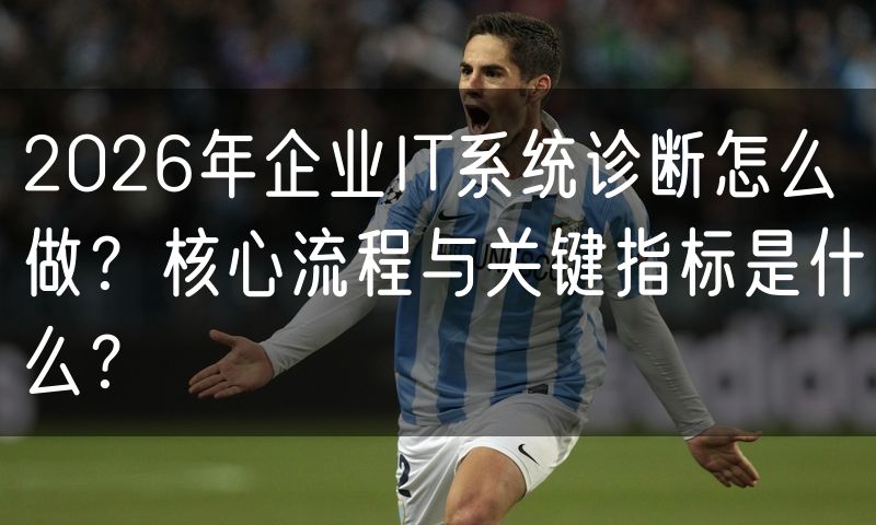 2026年企业IT系统诊断怎么做？核心流程与关键指标是什么？