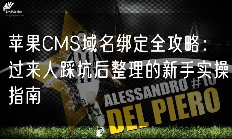 苹果CMS域名绑定全攻略:过来人踩坑后整理的新手实操指南