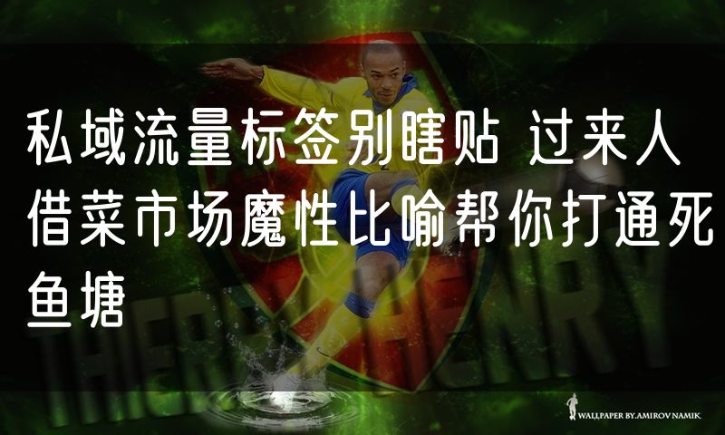 私域流量标签别瞎贴 过来人借菜市场魔性比喻帮你打通死鱼塘