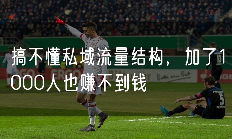 搞不懂私域流量结构,加了1000人也赚不到钱