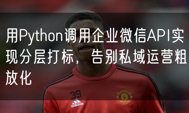用Python调用企业微信API实现分层打标,告别私域运营粗放化