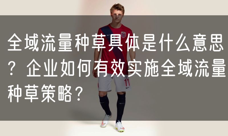 全域流量种草具体是什么意思？企业如何有效实施全域流量种草策略？
