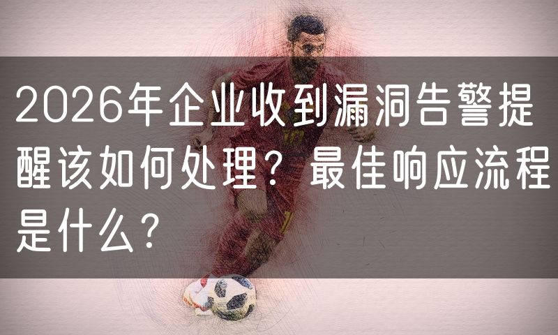 2026年企业收到漏洞告警提醒该如何处理？最佳响应流程是什么？