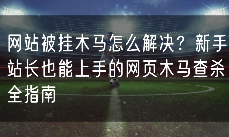 网站被挂木马怎么解决?新手站长也能上手的网页木马查杀全指南